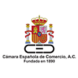 logo cecm