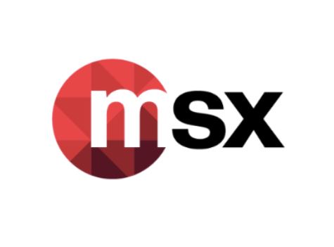 MSX International