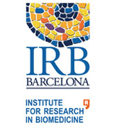 Institut de Recerca Biomèdica de Barcelona