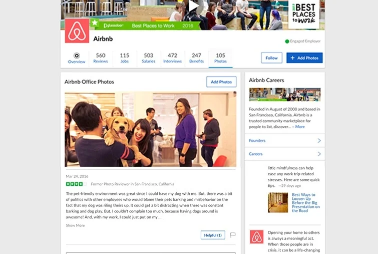 airbnb perros oficina