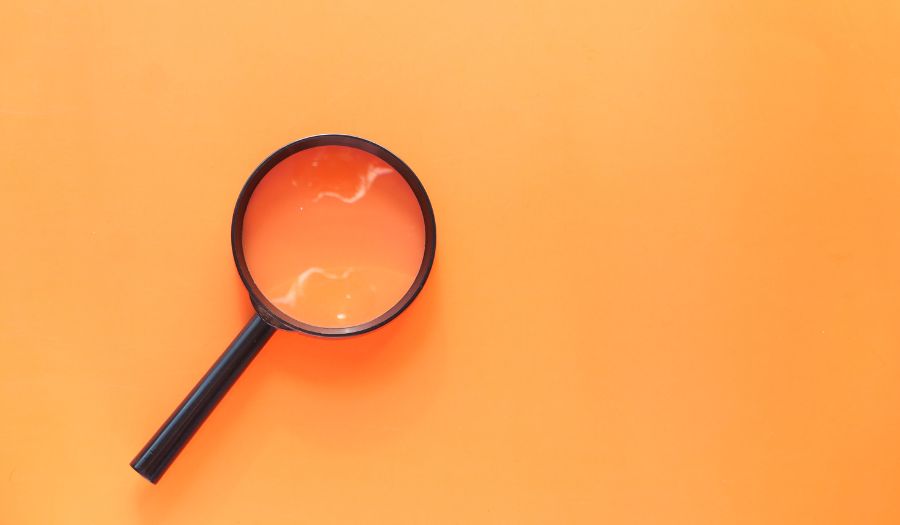 Base de Datos de Candidatos: Por qué y cómo utilizarla