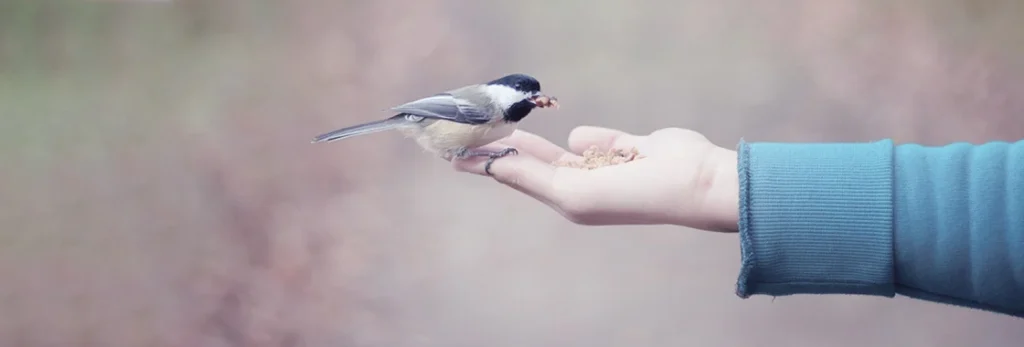 Cómo conseguir candidatos de calidad antes de publicar tu oferta