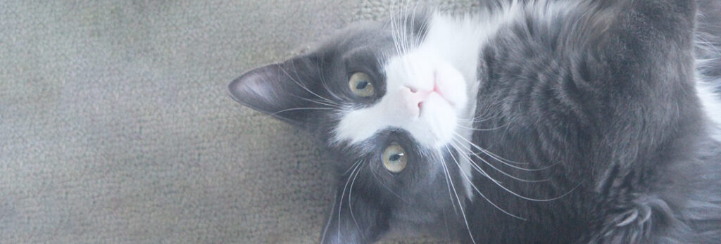 Las reacciones de los candidatos durante un proceso de inscripción interminable [GIFs]