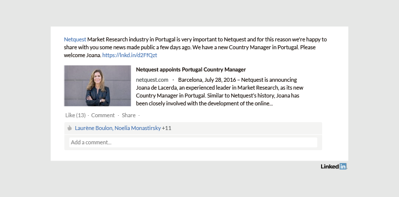 Netquest Perfil de Empresa en LinkedIn