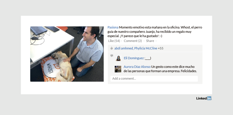 Perfil LinkedIn Empresa Pasiona