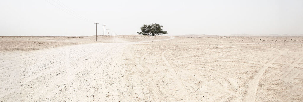 3 Tendencias en Reclutamiento en el Último Año ¿Hacia Dónde Vamos?