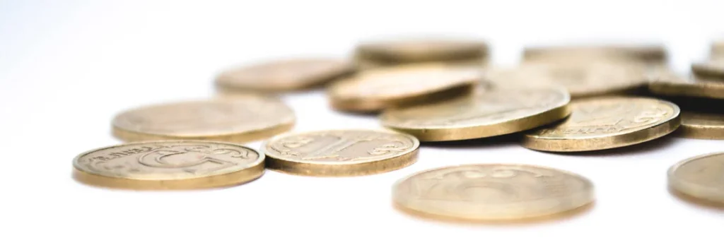 La Base de Datos de Currículums , ¡Divino Tesoro!