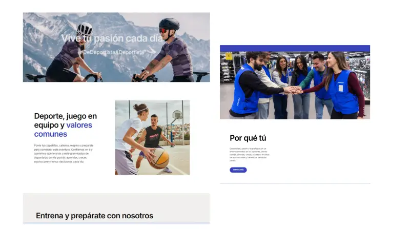 career site ejemplos